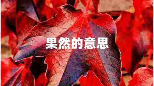 果然的意思