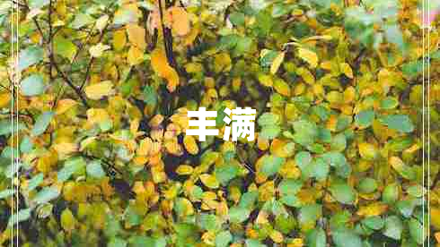 豐滿(mǎn)