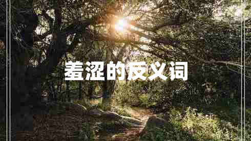 羞澀的反義詞