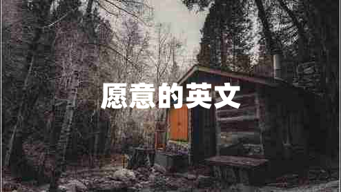 愿意的英文