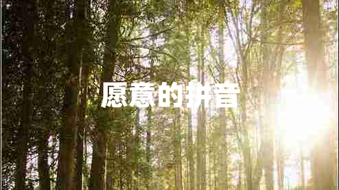 愿意的拼音