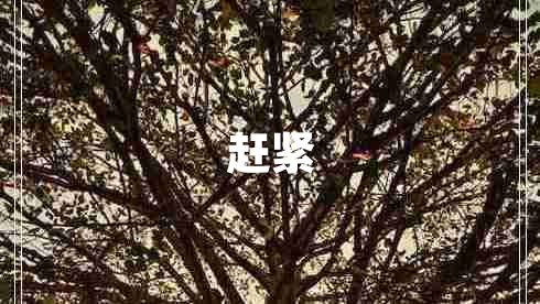 趕緊