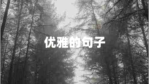 優(yōu)雅的句子