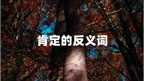肯定的反義詞