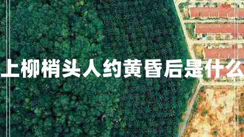 月上柳梢頭人約黃昏后是什么節