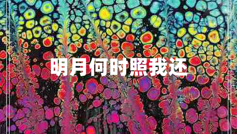 明月何時(shí)照我還