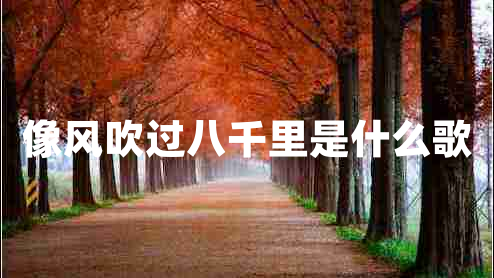 像風(fēng)吹過(guò)八千里是什么歌