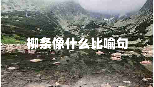 柳條像什么比喻句