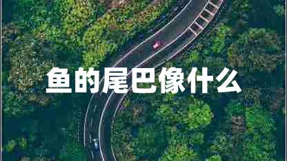 魚(yú)的尾巴像什么