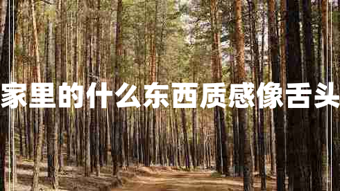 家里的什么東西質(zhì)感像舌頭