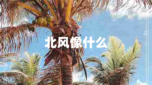 北風(fēng)像什么