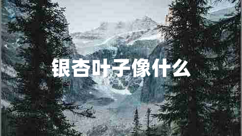 銀杏葉子像什么