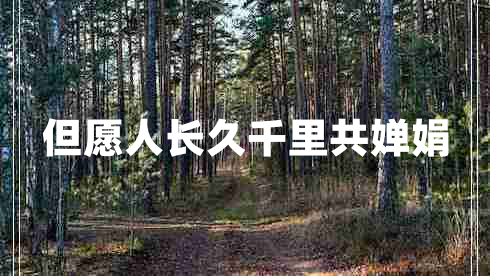 但愿人長(cháng)久千里共嬋娟
