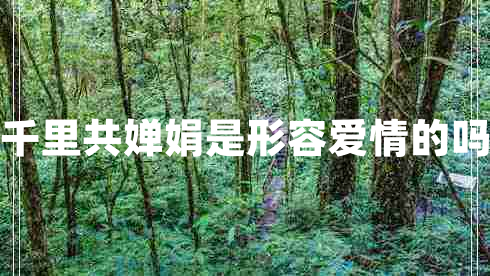 千里共嬋娟是形容愛(ài)情的嗎