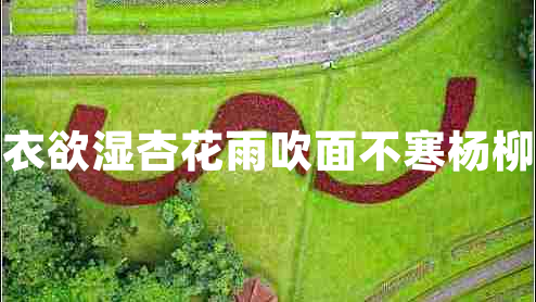 沾衣欲濕杏花雨吹面不寒楊柳風(fēng)