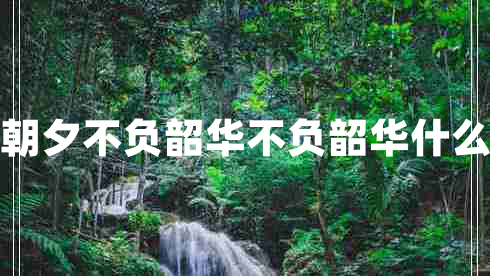 只爭朝夕不負韶華不負韶華什么意思