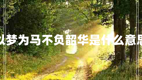 以夢(mèng)為馬不負韶華是什么意思