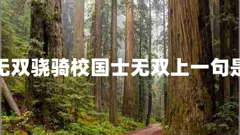 國士無(wú)雙驍騎校國士無(wú)雙上一句是什么