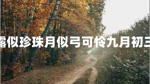可憐九月初三夜露似珍珠月似弓可憐九月初三夜下一句是什么