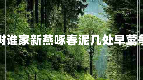幾處早鶯爭暖樹(shù)誰(shuí)家新燕啄春泥幾處早鶯爭暖樹(shù)的下一句