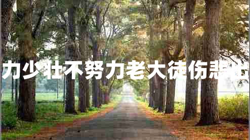 少壯不努力少壯不努力老大徒傷悲出自哪首詩(shī)