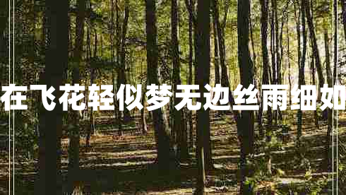 自在飛花輕似夢(mèng)無(wú)邊絲雨細如愁