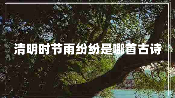 清明時(shí)節雨紛紛是哪首古詩(shī)
