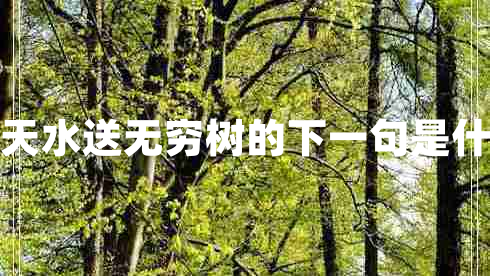 浮天水送無(wú)窮樹(shù)的下一句是什么