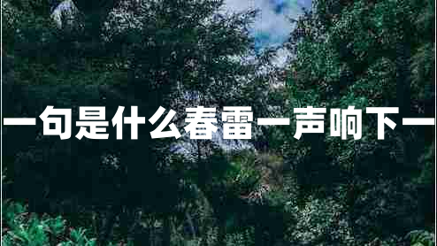 春雷響下一句是什么春雷一聲響下一句是什么