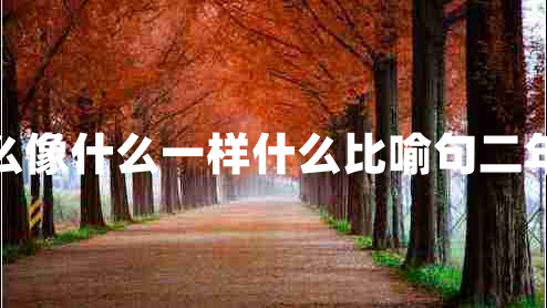 什么像什么一樣什么比喻句二年級