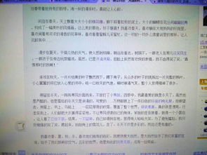 建議書(shū),作文,六級,美食節