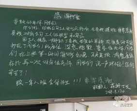 臺(tái)風(fēng)過(guò)后一片狼藉的作文,臺(tái)風(fēng)過(guò)后的景象作文,臺(tái)風(fēng)過(guò)后的情景作文