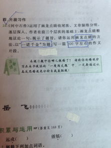 校園里的橡皮樹(shù)300字作文