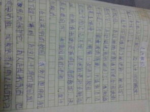 作文,校園