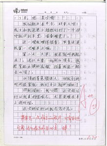 校園書(shū)亭作文樂(lè )樂(lè )課堂
