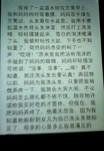 校園的景色真美作文300字三級