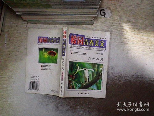 如陽(yáng)光的青春校園作文