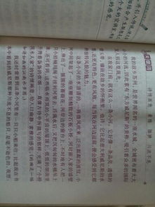 作文家鄉的校園400字