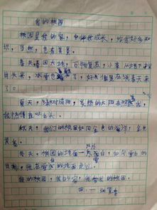 小學(xué)四年級我們的校園的作文怎么寫(xiě),四年級作文我們的校園400字作文,我們的校園四年級300字作文怎么寫(xiě)