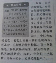 作文,歌曲排行榜,校園