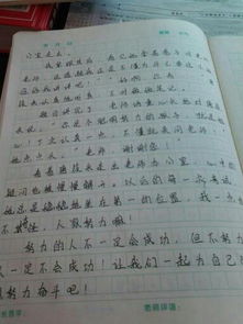 感動(dòng)作文校園篇400字,關(guān)于校園篇的作文,新時(shí)代校園篇作文