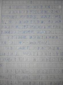 校園的草作文800