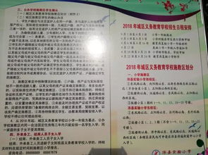 沛縣實驗小學(xué)東校區(qū)校園作文