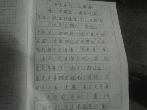 作文,調查報告,衛生,校園