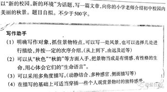 新的校園新的環(huán)境為話(huà)題寫(xiě)一篇作文