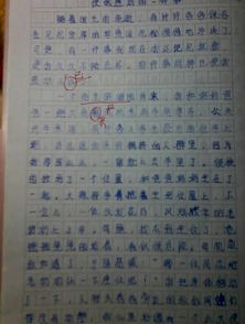 校園里的感動(dòng)作文400zi