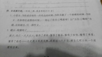 感恩我的校園300字作文