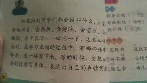 我愛(ài)校園的什么300字作文三級