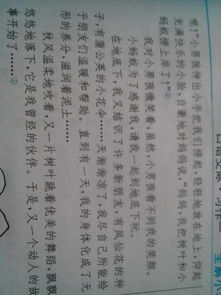 校園豐富多彩的活動(dòng)作文200字,校園內豐富多彩的活動(dòng)作文,豐富多彩的校園活動(dòng)作文500字