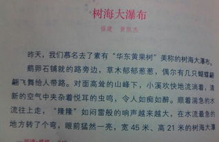 寫(xiě)校園游覽順序400字作文